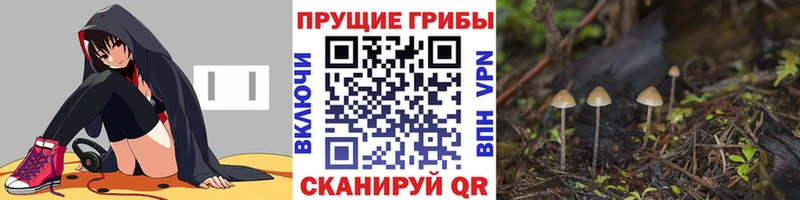 Псилоцибиновые грибы ЛСД  Яхрома 